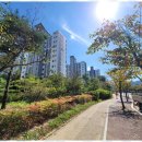 코뿔소공인중개사사무소 이미지