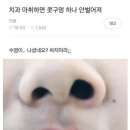 보배치과 이미지