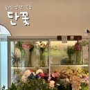 향남 꽃집 단꽃 어버이날 기념일 향남 꽃다발
