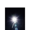 더마르 이미지