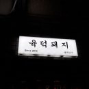 육덕돼지 이미지