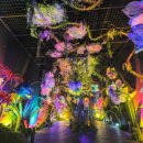 보문관광단지 이미지