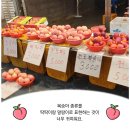 청량리청과물시장 이미지