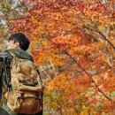 가을은 등산의 계절…허리‧무릎 보호하는 기본 수칙은? 이미지