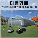 경기 광주 키즈카페 먹이주기체험하고 모래놀이 하는 초월읍카페