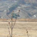 사파동320 이미지