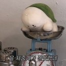 존맛JMT