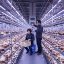 상천농장 이미지