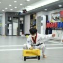 하늘빛 태권도 이미지