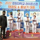 라이온스태권도 이미지
