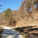 무릉도원면-25 이미지