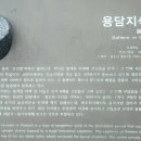 제주 용담동 유적 이미지