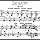 소나타음악학원 이미지