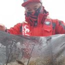 여수쭈꾸미 이미지