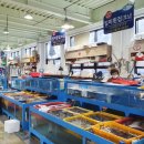 삼천포활어회집 이미지