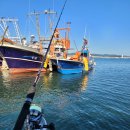 마량포해비치 펜션 이미지