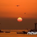 마량포 해넘이.해돋이 축제 이미지