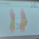 향기가득 원예교실(야간) | 동대문구 아가사랑센터 임산부 교육 초음파액자만들기, 라마즈호흡법 출산교실