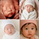 i튼튼약국 | 프리솔라의 &#34;임신축하박스&#34; 🎁 8종 구성 당첨 리뷰!