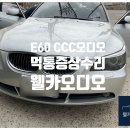 BMW 523i E60 CCC 오디오 먹통 증상 수리 이미지