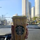 통나무아일랜드 | [충남 태안] 1박2일 일정 아일랜드 리솜 런트립 코스 총정리