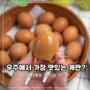 환경을 생각하는 건강 먹거리: 파이&샌드위치 | 난각1번 무항생제 계란 추천 제주 애월아빠들 계란 3종 리뷰