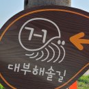 씨원대부