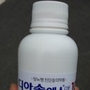 정밀당