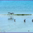 하늘정원2민박 이미지