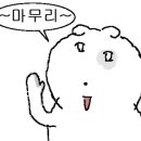 세계일주여행사주 이미지