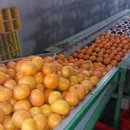 승관농장 이미지