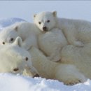 얼음왕국 이미지