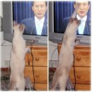 다시원 이미지