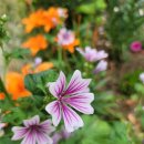 복우자동차써비스 이미지