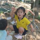 청목어린이집 이미지