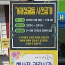 거제섬꽃축제 직관 후기 - 전편(정글돔)