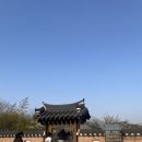 🌸 새언니랑 인천 매화동산 산책 | 봄 향기 가득한 하루
