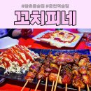 꼬치피네