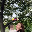 해이