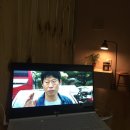 알로하민박