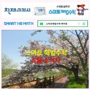 스마트해법수학 네이버블로그