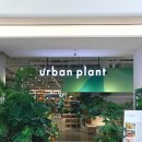 어반브런치 | [경기/파주/운정] 애견동반 가능한 브런치카페, 운정 스타필드 ‘어반플랜트’ 방문 후기