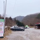 상관편백숲 공영주차장 네이버블로그