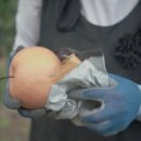 요미야미 이미지