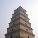 양식나라 이미지