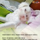 미소주유소 이미지