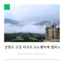 강원도 여행 고성 숙소, 설악산뷰 소노펠리체 델피노 골드스위트