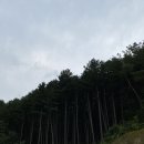 이종선치과의원