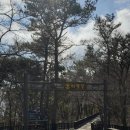 서귀포자연휴양림 | 서귀포 자연휴양림 방문전 필수체크! 입장금지 시 꿀팁