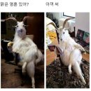 문단담배집 | [공지] 나는 왜 항상 마음을 감추고, 탓하지 말아야 할 것을 탓하며